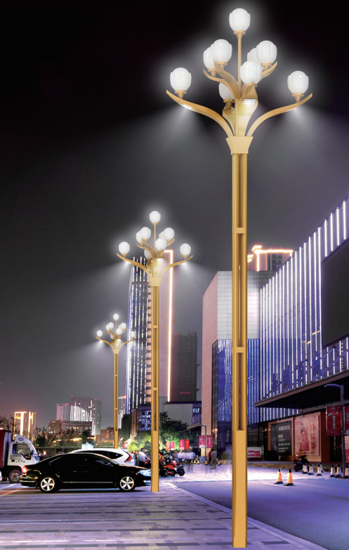 城市夜景中的一道风景线——玉兰灯